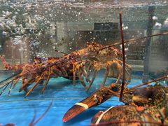 -海铺·渔家虾水饺(皇姑店)