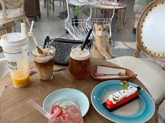 -共舞时光猫咖·狗咖(新街口店)