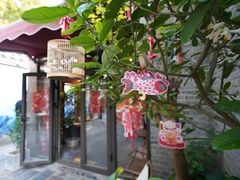 -四喜小胖·北京涮肉(五道营店)