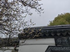 -汇龙潭