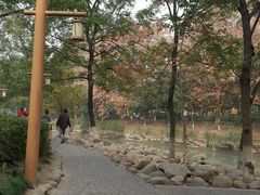 -沙河三洞古桥公园