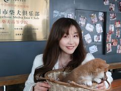 -柴犬高等学院·狗咖·柴犬售卖·宠物训练