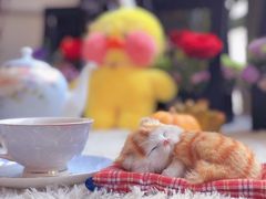 -森野花艺培训·企业团建活动沙龙