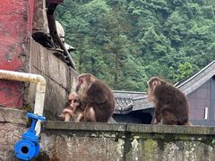 -峨眉山风景名胜区