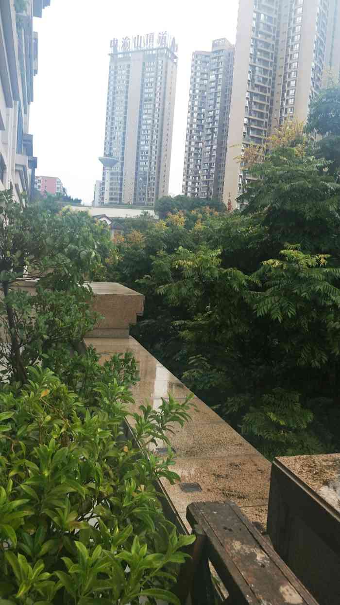 中渝山顶道-8号楼-"这个小区就在嘉州人民大厦背后,环境清幽～.