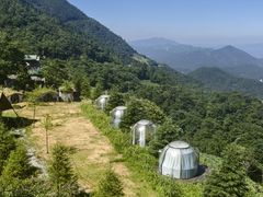 -武陵山森林公园