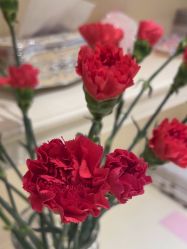 -北京俪婴妇产医院(朝阳大悦城店)