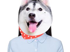 -iF摄影•全家福•证件照•形象照(南山店)