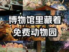 -温州博物馆