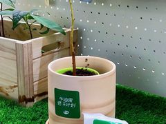 -果呀呀(国金街店)