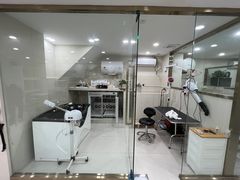 -当汪遇见喵宠物店