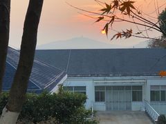 -上海市保健医疗中心(华东疗养院)