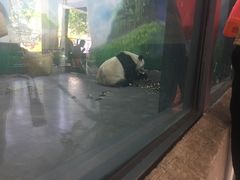 -无锡动物园·太湖欢乐园