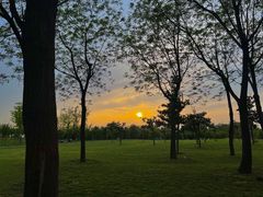 -洨河生态公园