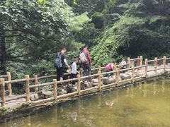 -王顺山国家森林公园