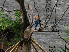 -科兴科学园