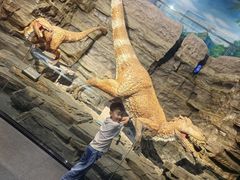 -辽宁古生物博物馆