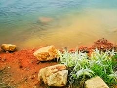 -东湖生态旅游风景区