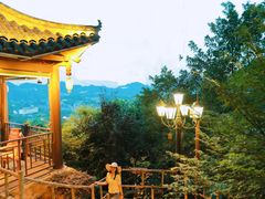 -巴倒烫陆派火锅山庄(南山总店)