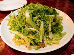 凉拌苦菊-馋嘴蛙火锅