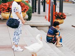 -圣·阿列克谢耶夫教堂