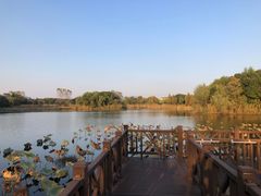 -上海市保健医疗中心