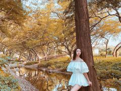 -人民公园(罗湖区)