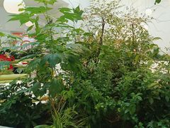 -大树餐厅(红旗街万达店)