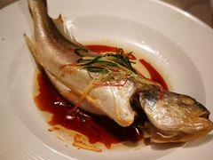 -顺德美的万豪酒店·自助餐·贡厨