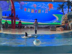 -三亚海昌梦幻海洋不夜城