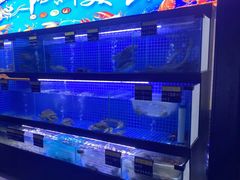 -七裕庄(凯旋南路店)