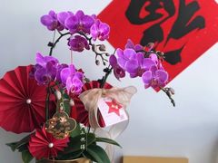 -南通CBD大有境