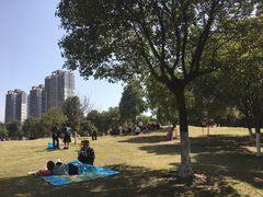 -重庆彩云湖湿地公园
