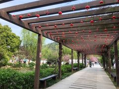 -白马涧龙池景区