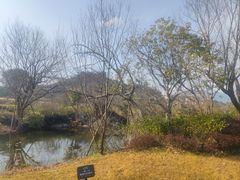 -雅达·阳羡溪山小镇中心