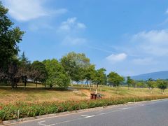 -紫金山山顶公园