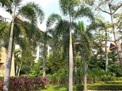 外景-三亚海棠湾万丽度假酒店