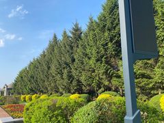 -长春公园(普阳街道)