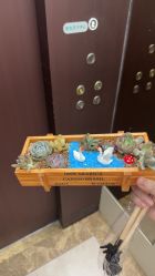 -致友月子会所(麓湖店)