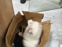-恒幸动物医院·急重症转诊中心·神经内外科·CT核磁