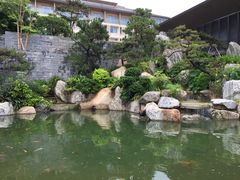 -南宁荔园维景国际酒店·荔园中餐厅