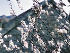 -昆嵛山石门里景区