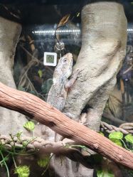 -Zoolung Zoolung动物主题公园(海信广场店)