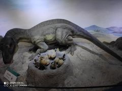 -国家自然博物馆