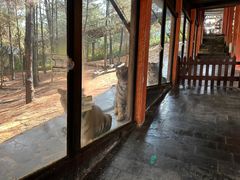 -云南野生动物园