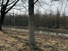 -泗洪洪泽湖湿地景区