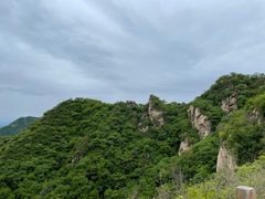 -大岭沟猕猴桃谷风景区