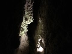 -怀托摩萤火虫洞