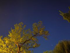 -Sirena海妖日咖夜酒