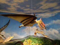 -安徽省地质博物馆